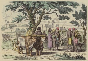 Gammel egyptisk bonde og jegere (farget gravering) av German School