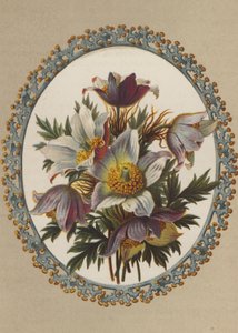 Anemoner (kromolitt) av German School