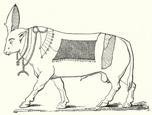 Apis, hellig okse fra det gamle Egypt (gravering) av German School