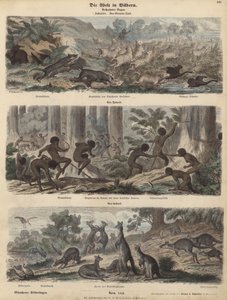Australia (farget gravering) av German School