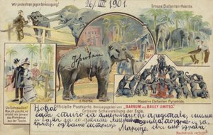 Barnum og Baileys sirkus (fargelitografi) av German School