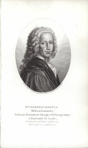 Bernhard Siegfried Albinus av German School
