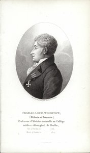Charles Louis Wildenow av German School