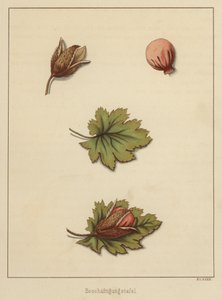 Håndverk (farge litho) av German School