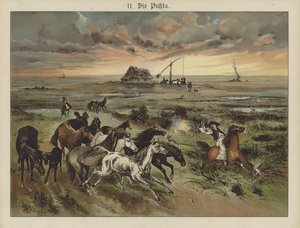 Die Pukta (farge litho) av German School