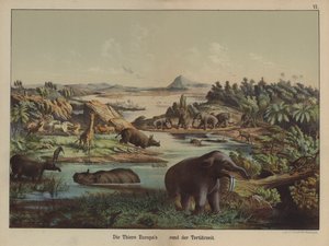 Europeiske dyr fra tertiærperioden (farge litho) av German School
