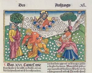 2. Mosebok 16 13-22 Gud gir vaktel og manna til israelittene, fra Nürnbergbibelen (Biblia Sacra Germanaica) (farget tresnitt)