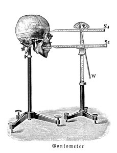 Goniometer som måler menneskeskalle av German School