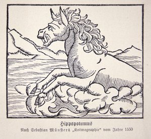 Flodhest fra Sebastien Münsters 'Cosmographie Universalis' av German School
