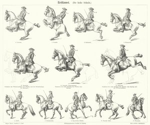 Horsemanship (gravering) av German School