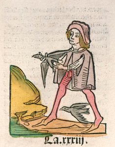Hortus Sanitatis [Helsens hage] av Jacob Meydenbach utgitt i 1491 (tresnitt) av German School