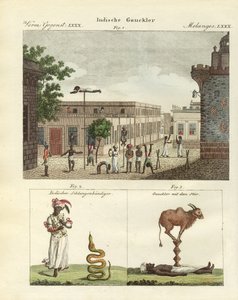 Indiske bateleurs (farget gravering) av German School