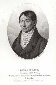 Johann Heinrich Friedrich Link av German School