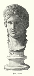 Juno Ludovisi, gammelt romersk kolossalt marmorhode som viser Antonina Minor, datter av Mark Antony og Octavia Minor, som gudinnen Juno (gravering) av German School