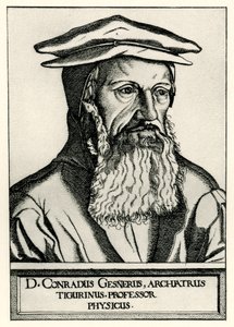 Konrad Gesner av German School