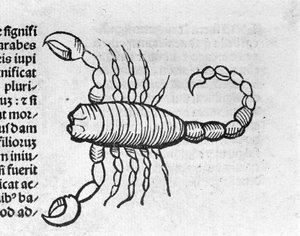 Le Scorpio - i avhandlingen av Johannes Angelo om årenes store forbindelser og deres revolusjoner. Augsburg, Erhard Ratdolt av German School