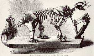 Megatherium Skeleton på British Museum av German School