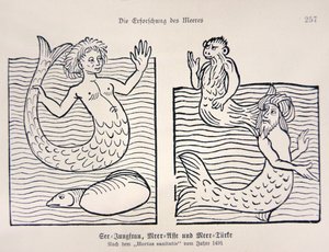 Havfrue og havmann fra Jacob Meydenbachs "Hortus Sanitatis" av German School