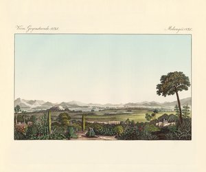 Mexico (farget gravering) av German School