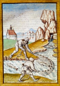 Miniatyrgarnfiske fra en tysk oversettelse av fablene om "Kalila (Calila) og Dimna" av Bidpai. Chantilly fra 1400-tallet, Musee Conde av German School