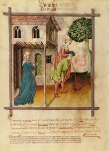 Ms Lat 9333 fol.96v Man Brekninger, fra Tacuinum Sanitatis av German School