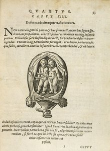 Ikke-identiske tvillinger i livmoren, illustrasjon fra kapittel 14, bok 4 av On the Conception and Growth of Man av Rueff, 1587 av German School