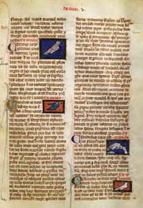 Side fra De Natura Rerum om fugler, av Albertus Magnus (cirka 1200-1280) av German School