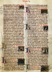 Side fra De Natura Rerum om fugler, av Albertus Magnus (cirka 1200-1280) av German School