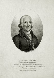 Peter Simon Pallas. (1741 – 1811) (Linjegravering) av German School