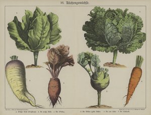 Planter av German School