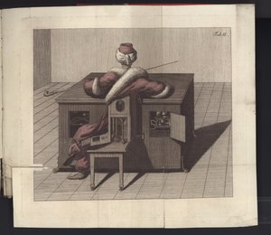 Plate II fra Om sjakkspilleren til Herr von Kempelen og hans replika, Leipzig og Dresden: Joh. Gottl. Broadhead, 1789 av German School