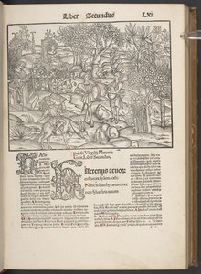 Verkene til Publius Virgilius Maronis..., Argentorati C. LXIr av German School