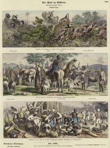 Verden i bilder: Tysk Afrika