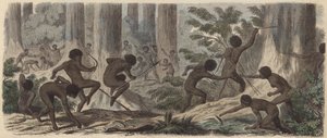 To stammer av australske aboriginer kjemper (farget gravering) av German School