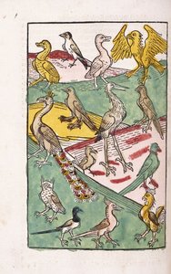 Ulike fuglearter i et landskap, 1499 av German School