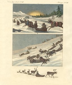 Vinterturer i Lappland (farget gravering) av German School