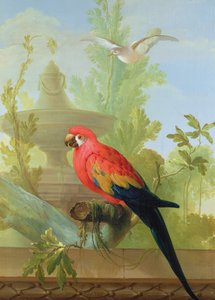En ara og en due i en prydhage, 1772 av Gerrit van den Heuvel