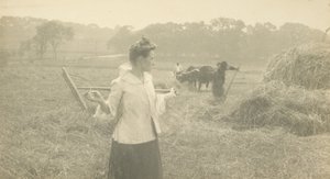  av Gertrude Käsebier