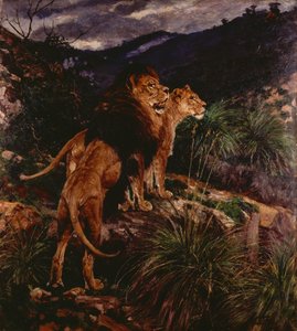 Lions Stalking (olje på lerret) av Geza Vastagh
