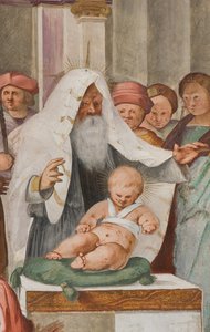 Central Nave, Fifth North Span, Presentasjon til tempelet, Gian Francesco Bembo av Gian Francesco Bembo