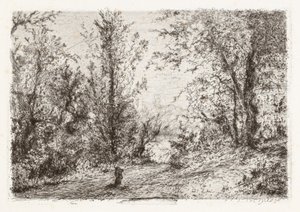 Skog ved Lago Maggiore [skog ved Lago Maggiore] av Giberto Borromeo