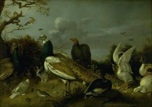 Påfugler, ender og andre dyr av Gijsbert Gillisz. de Hondecoeter