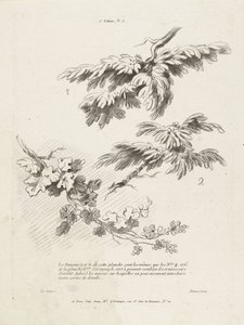 Studie av tre grener med blader 1er Cahier de paysage (serietittel) av Gilles Demarteau
