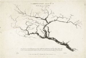 Studie av bar tregren 1er Cahier de paysage (serietittel)