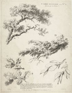 Studie av greiner med blader 1er Cahier de paysage (serietittel) av Gilles Demarteau