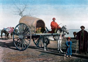 Bukhara-vogn, Usbekistan, c1890