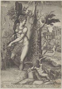 Venus og rosen av Giorgio Ghisi
