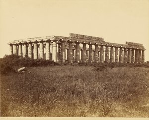Basilikaen, Paestum