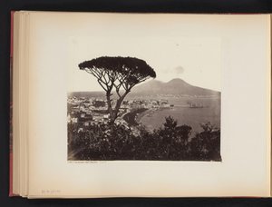 Utsikt over Napoli, Italia, med et furutre i forgrunnen Panorama-dalen Vomero Napoli (tittel på objekt) av Giorgio Sommer