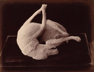  av Giorgio Sommer